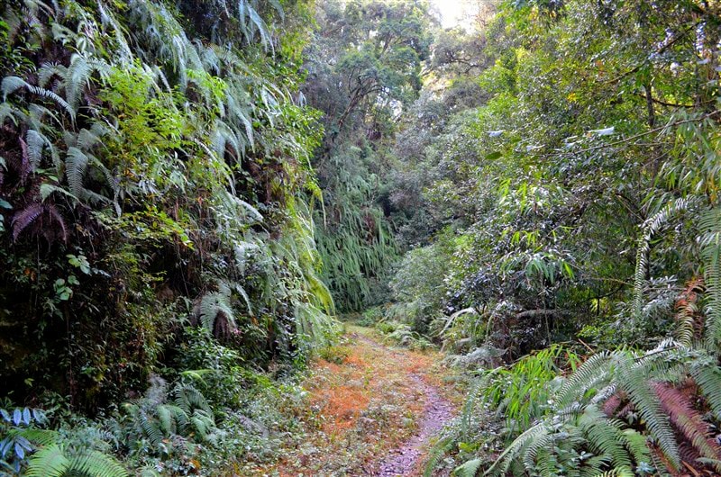 Adventure and Jungle with the Apatani