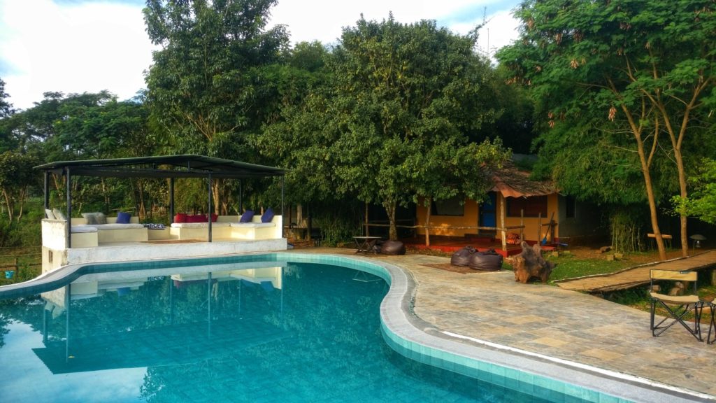 Piscine au Bison Resort