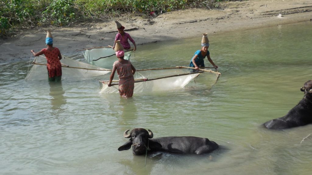 Femmes qui pêchent au Parc National de Bardia, Népal
