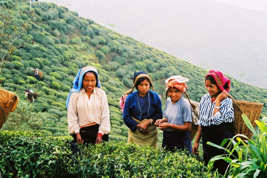 Local life in Darjeeling and Sikkim